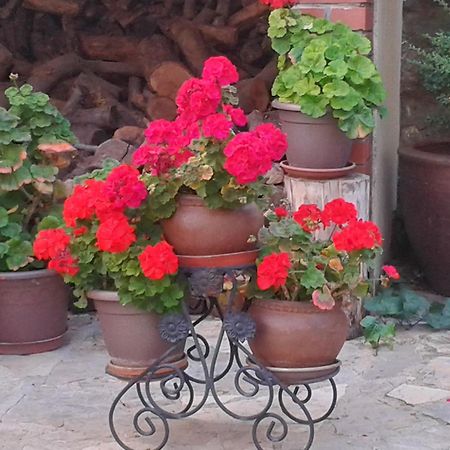סייה La Posada De Clotilde מראה חיצוני תמונה