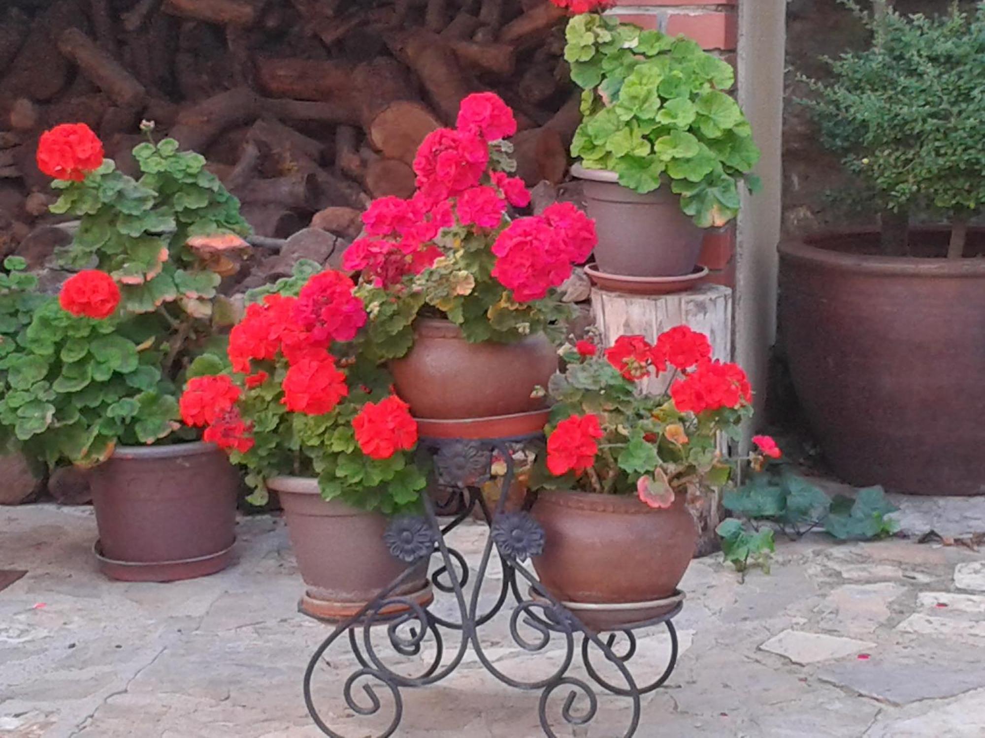 סייה La Posada De Clotilde מראה חיצוני תמונה