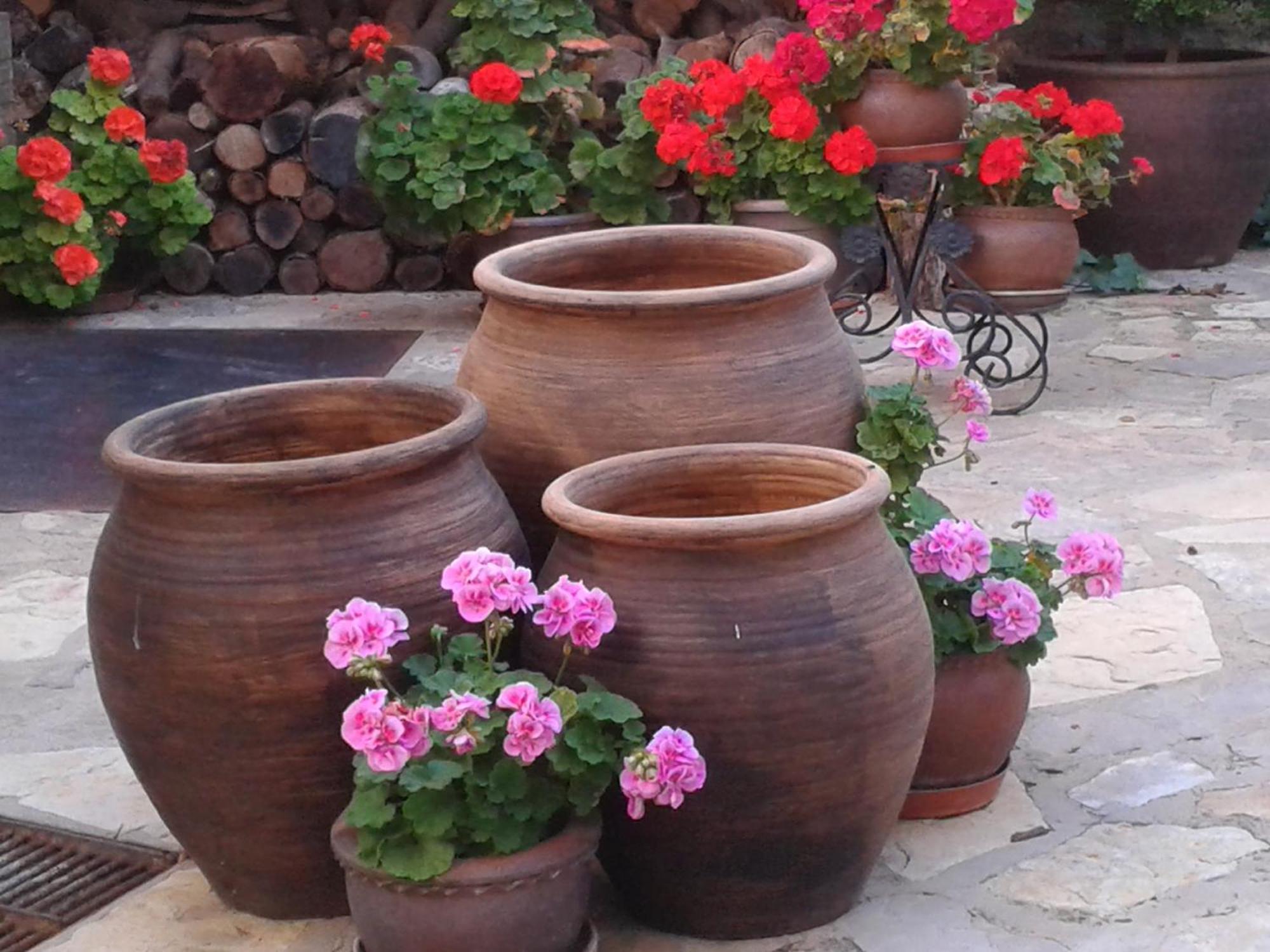 סייה La Posada De Clotilde מראה חיצוני תמונה
